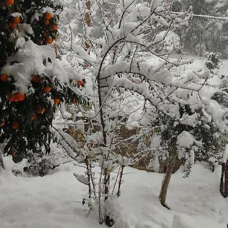 Mountain Breeze Sanctuary Villa Volos Exterior photo